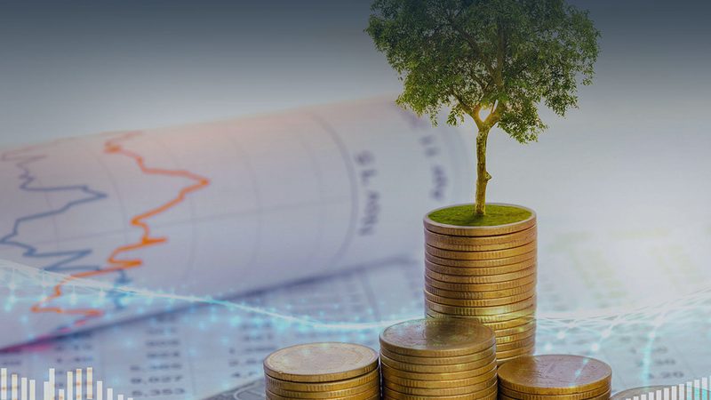 薪酬绩效咨询实施步骤：揭秘高效落地之道**